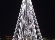 Acil - Árvore de Natal